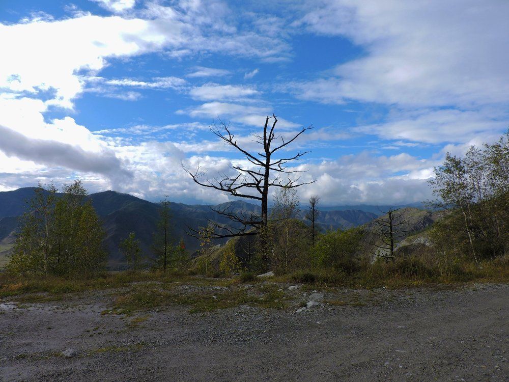 Photo #1138271