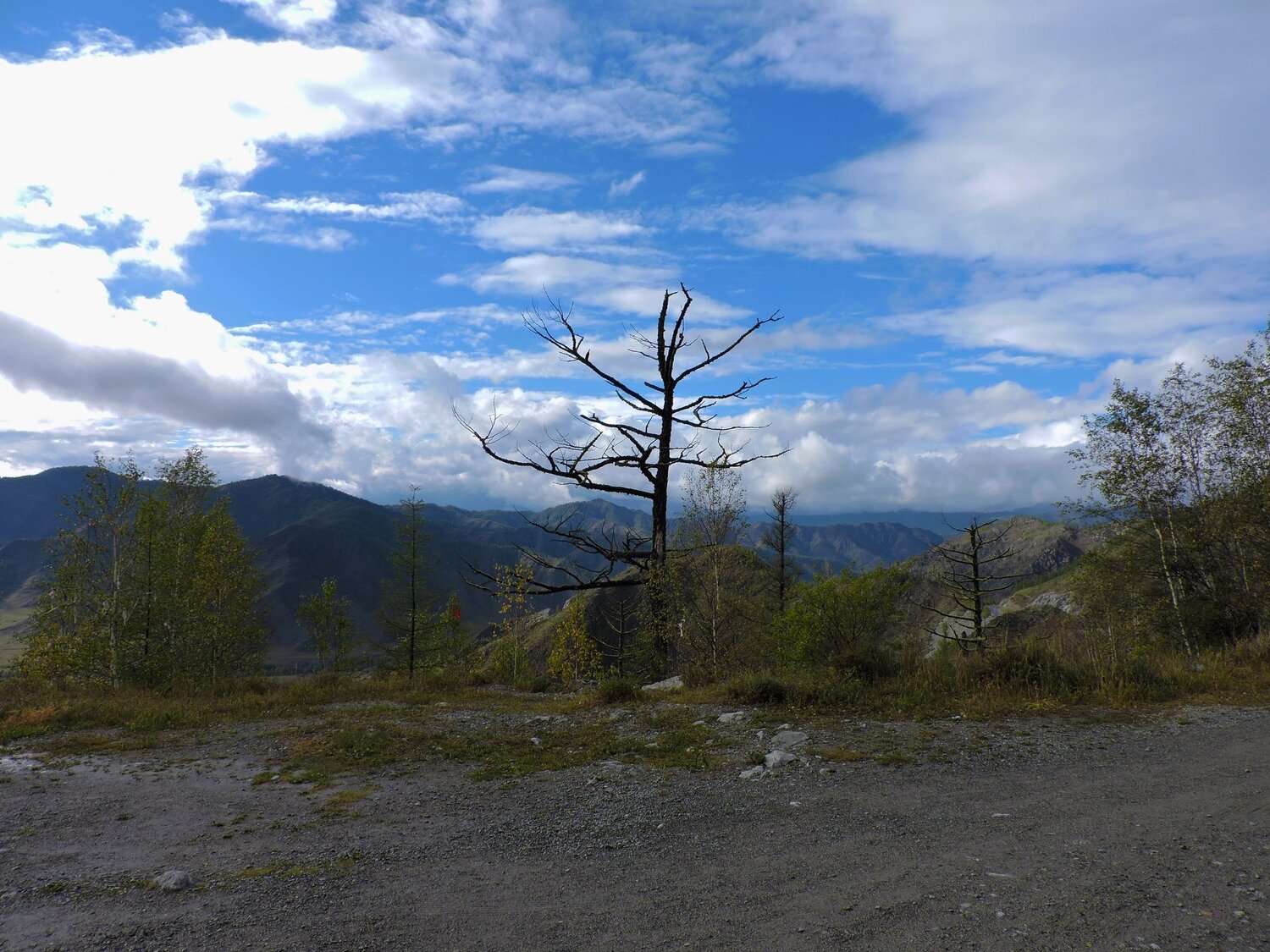 Photo #1138271