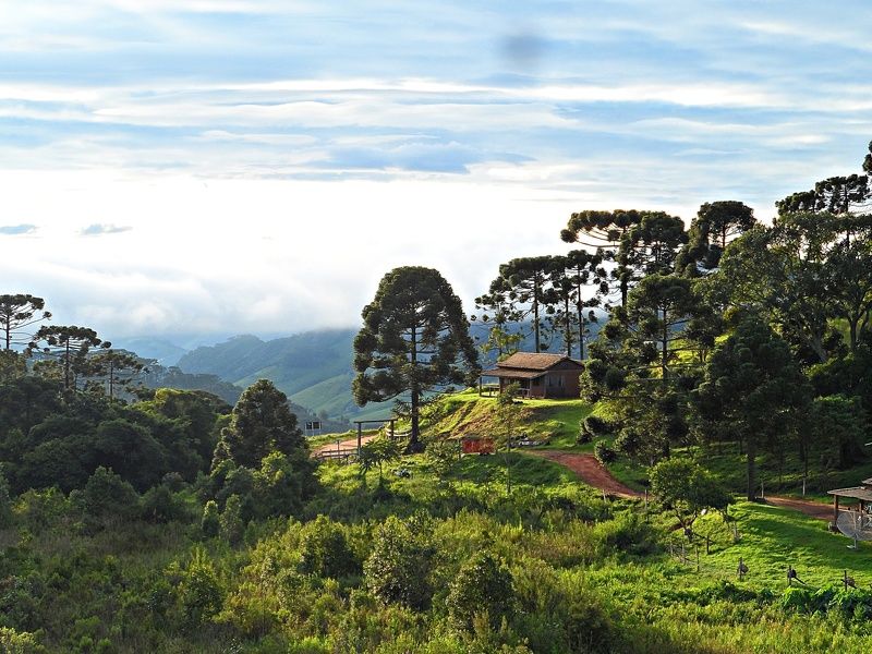 Drielly Roberta, Brazil