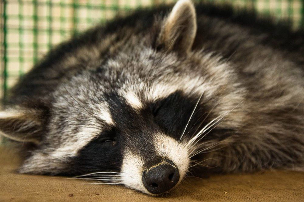 Малыш уснул