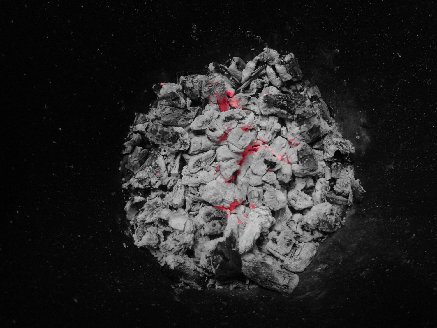 The Coal