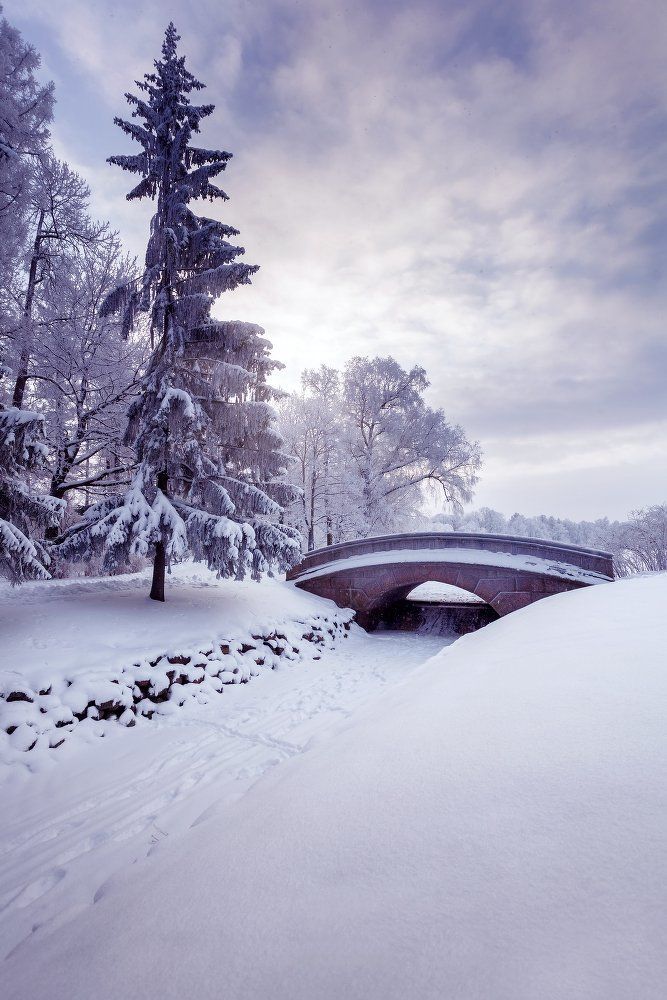 Зимний мостик