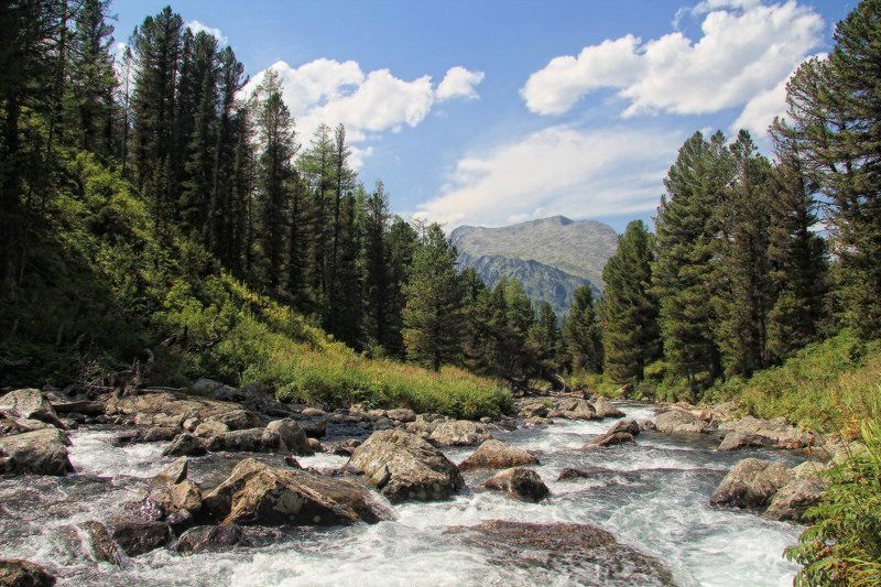 Olga Cheldykova, Russia