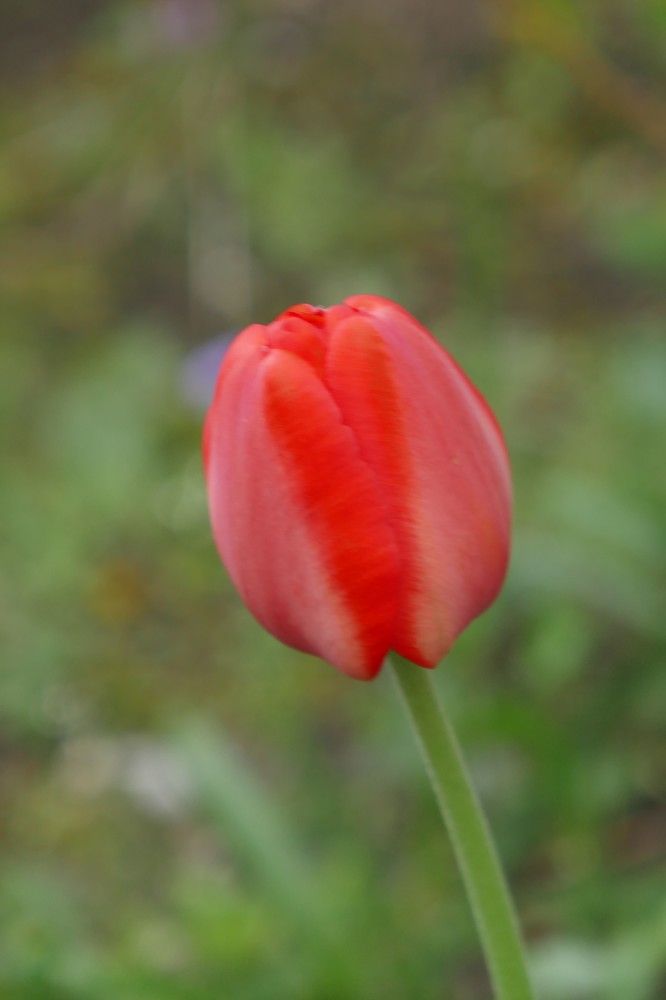 Photograph by Антон