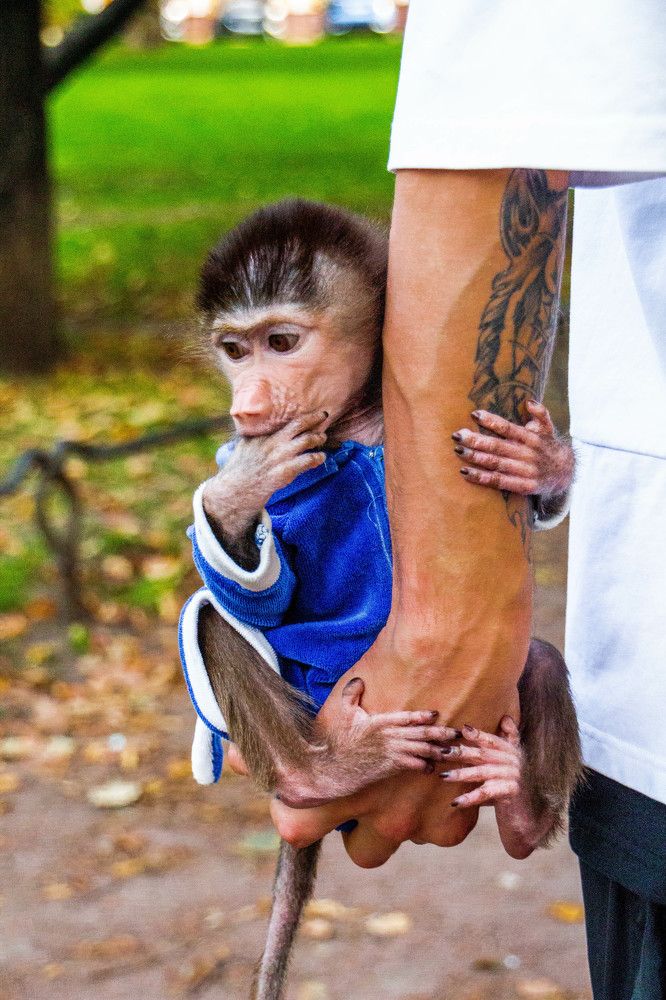 Photograph by Наталья Веряскина