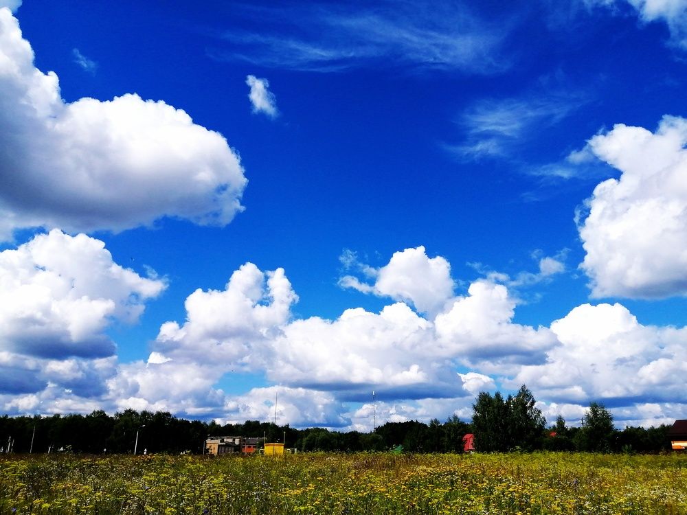 Photograph by Светлана Веселовская