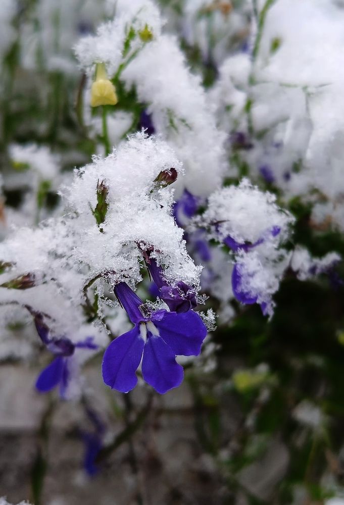 Photograph by Любовь Старовойтова