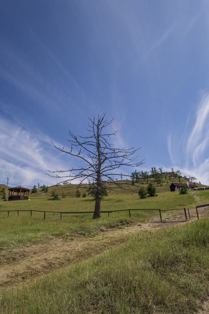 Photograph by Людмила Ваганова