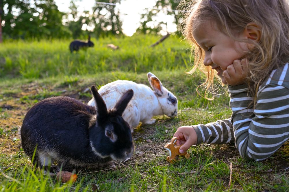 Photograph by Валентина Акимова