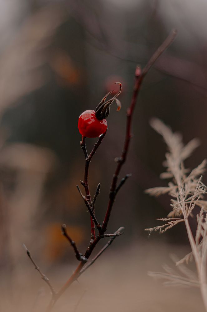 Фотография автора Мария Михайлова