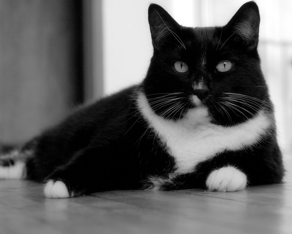 Photograph by Елена Казакова