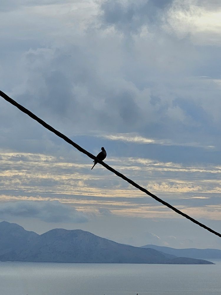 Photograph by Alexandra Sergeeva