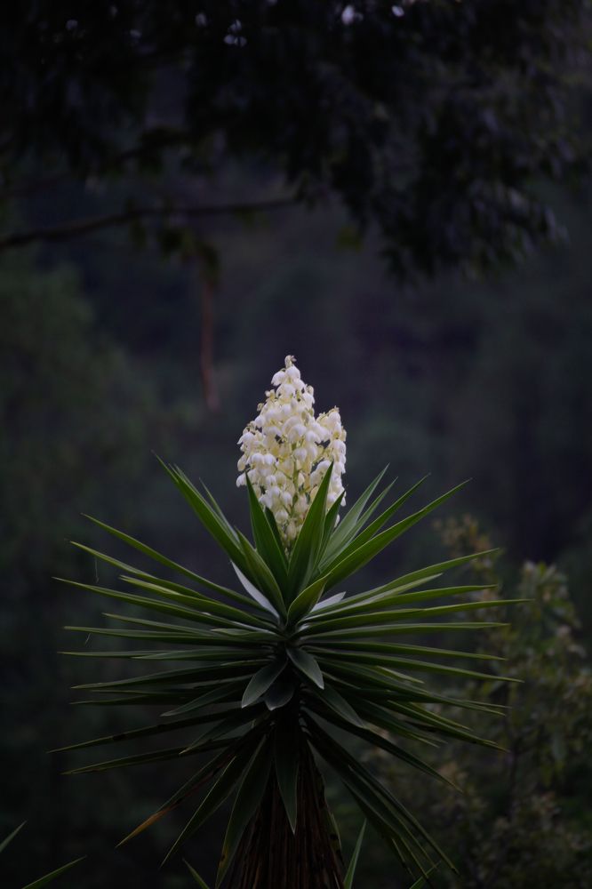 Photograph by Евфросиния Капустина