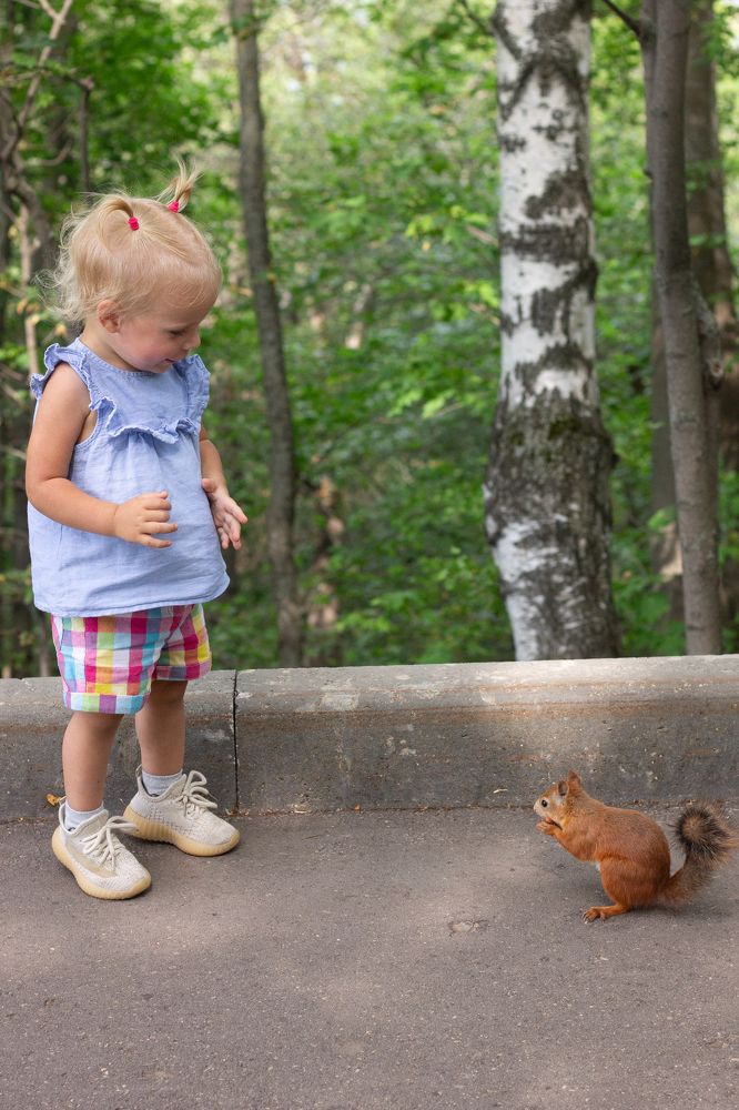 Photograph by Дарья Улюсова