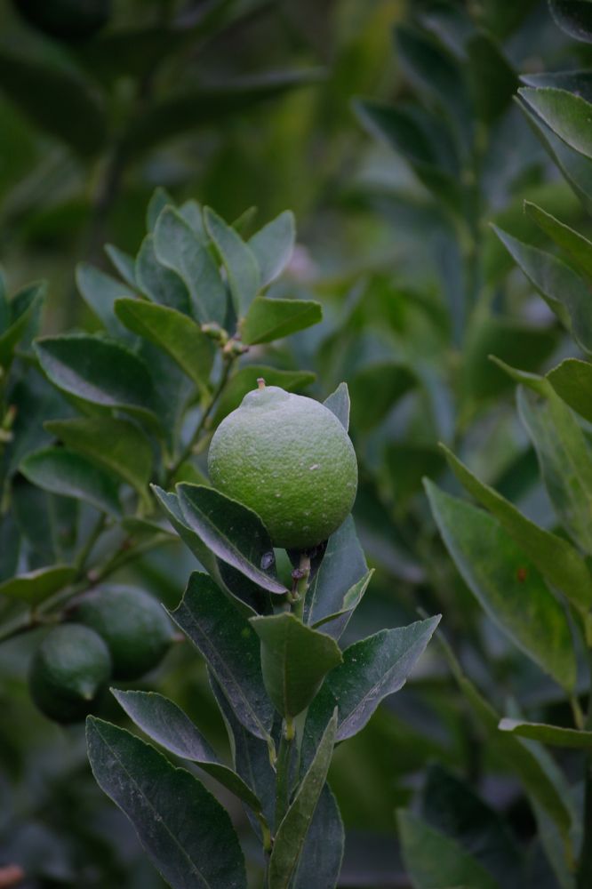 Photograph by Евфросиния Капустина