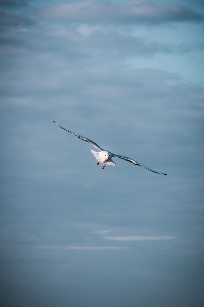 Photograph by Виктория Фирсова