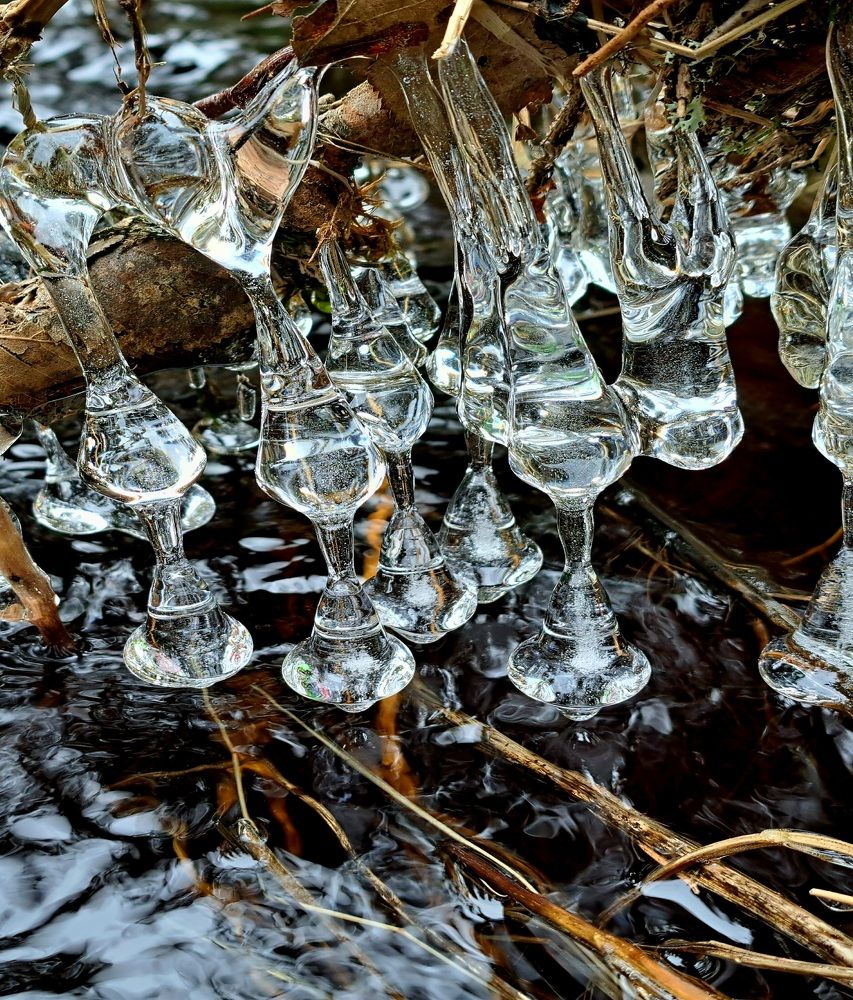 Photograph by Галина Перепечаева