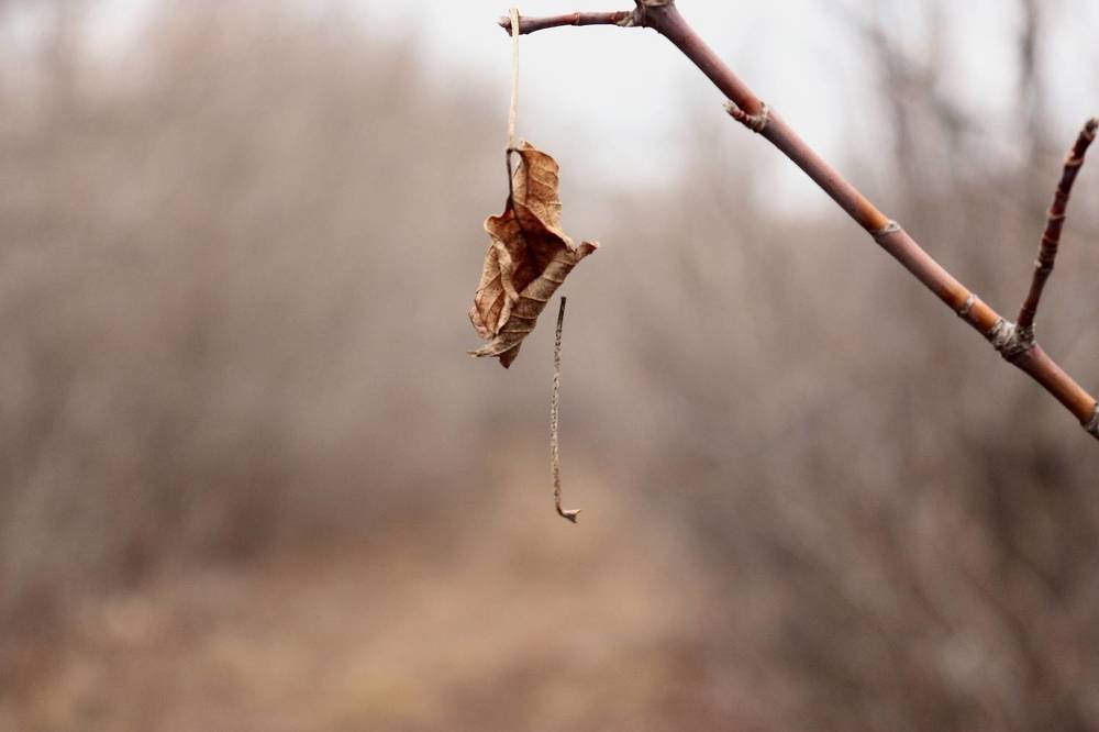 Photograph by Сергей Кириллов