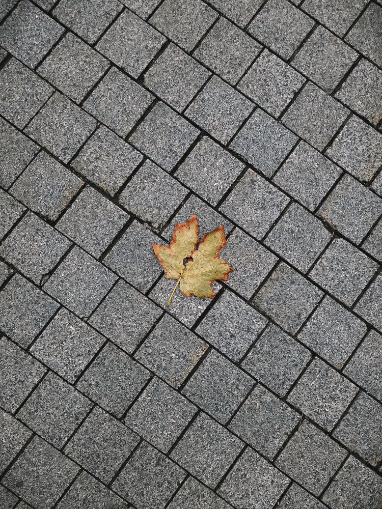 Photograph by Виктория Фирсова