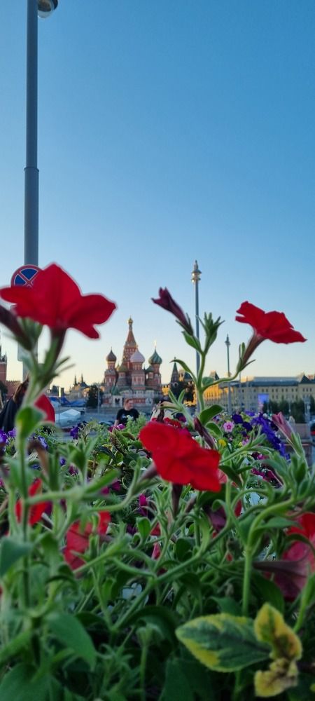 Photograph by наталья