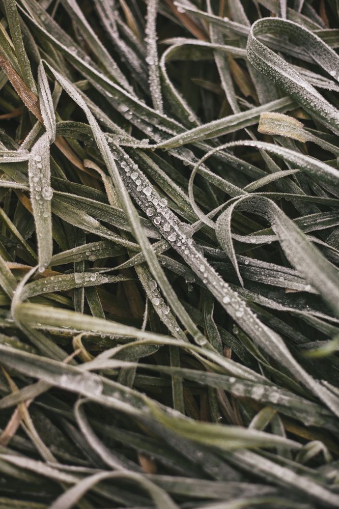 Photograph by Виктория Фирсова