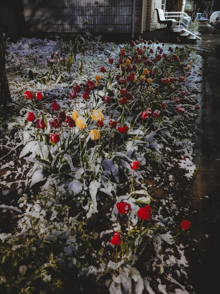 Photograph by Виктория Фирсова