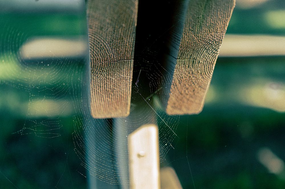 Фотография автора Valeriia Zhadan