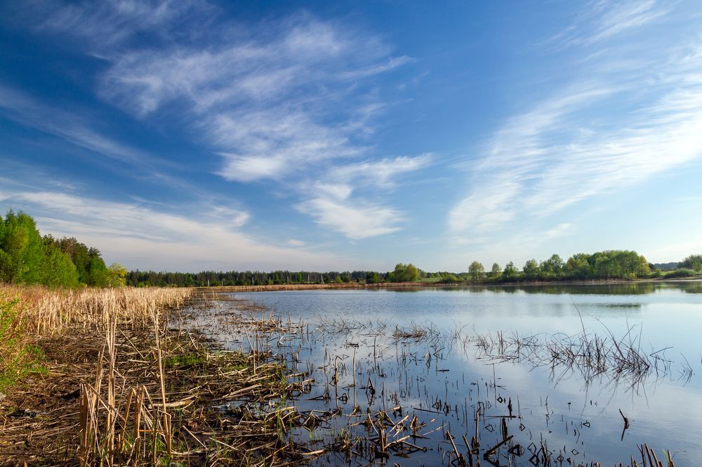 Photograph by Алексей