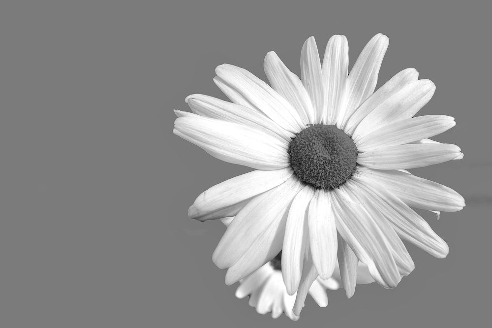 Photograph by Алексей Степанов