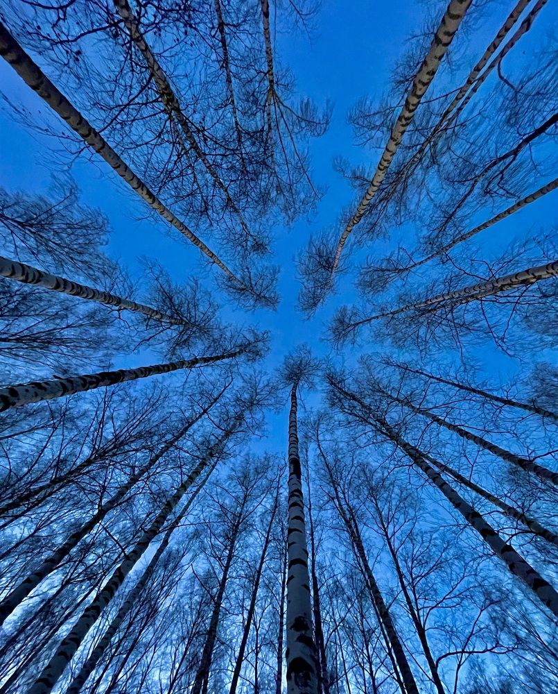 Photograph by Татьяна Мустафина