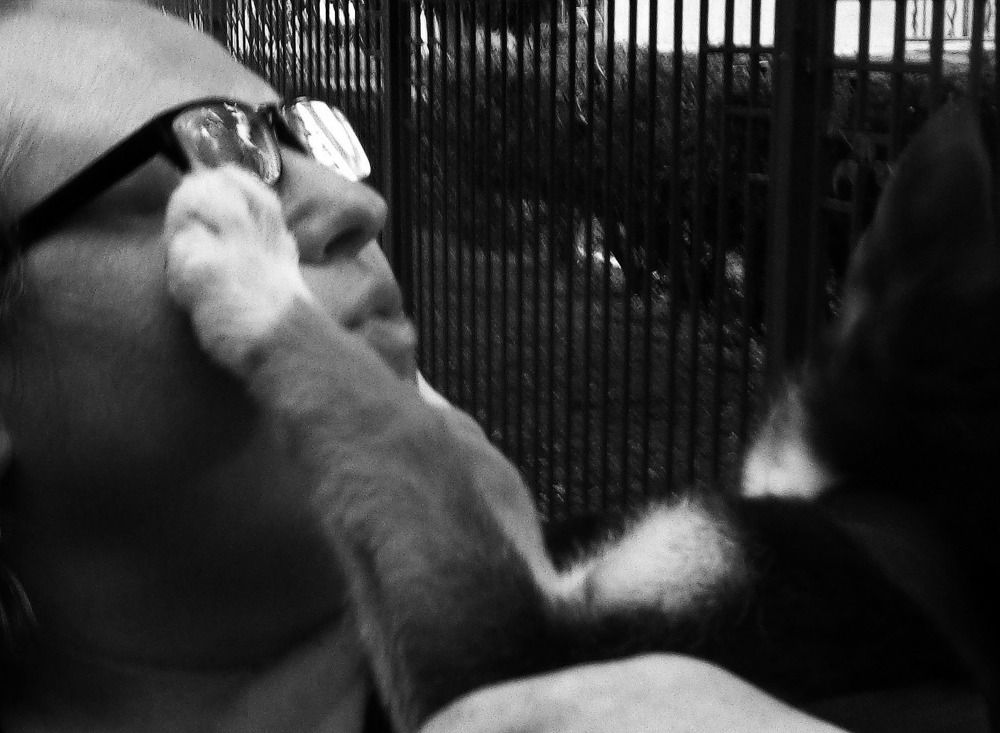 Photograph by Александр Зарх