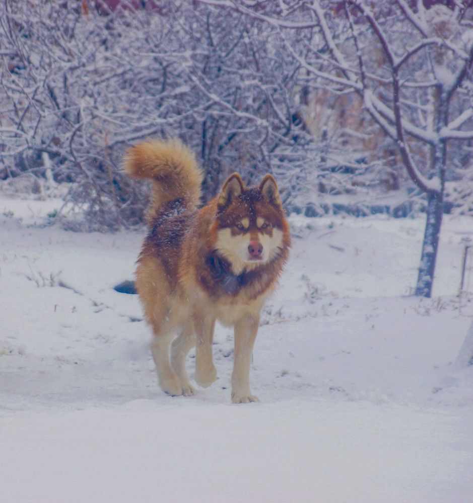 Photograph by Анна Самара