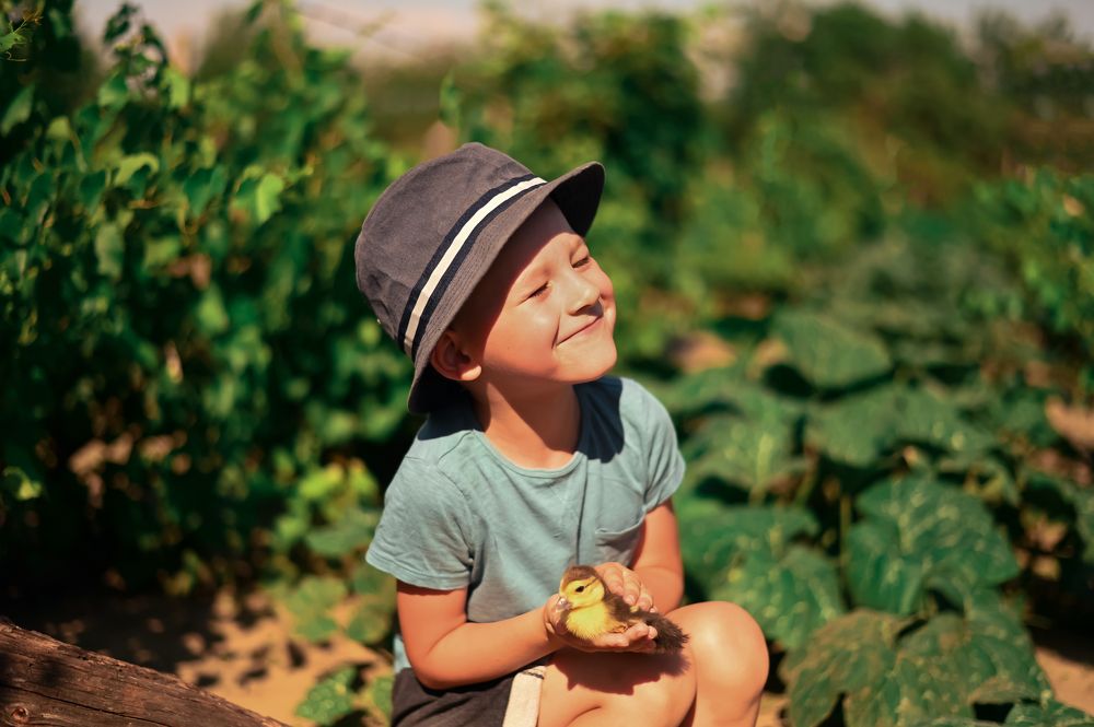 Photograph by Любовь Безволева