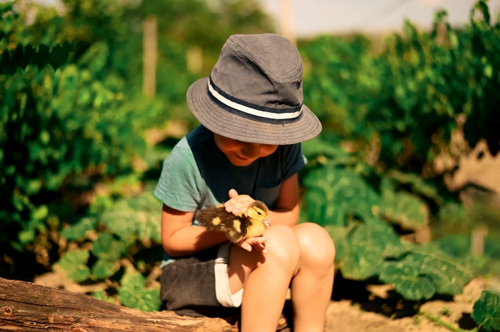 Photograph by Любовь Безволева