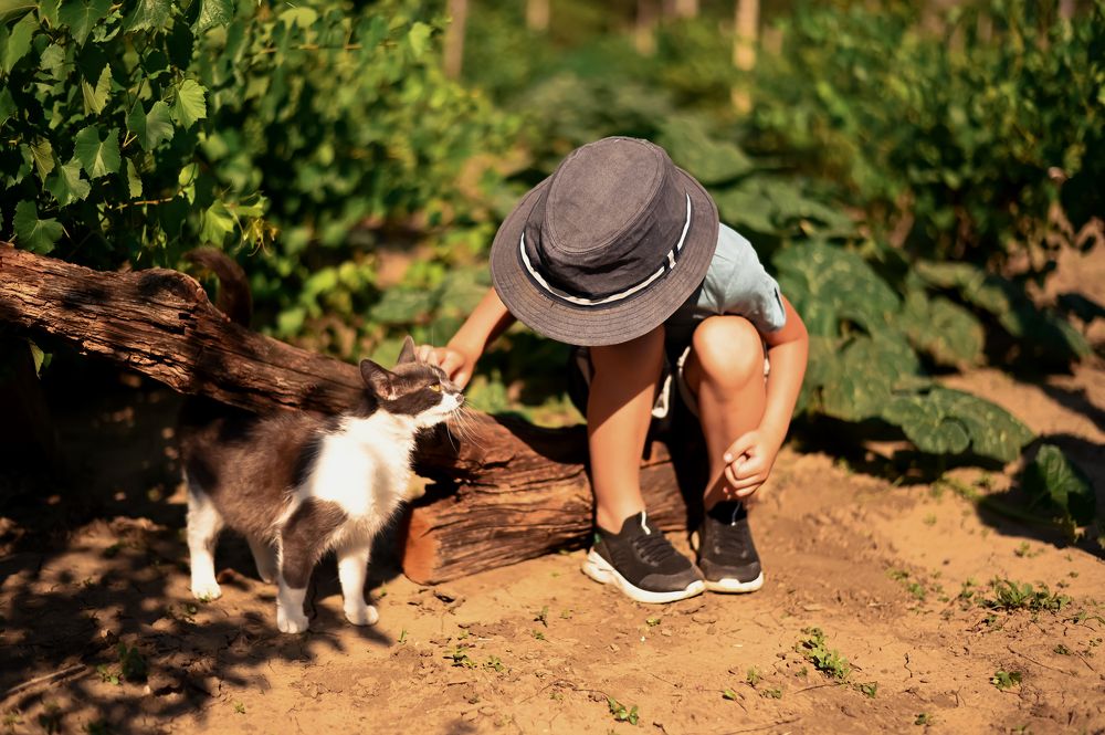 Photograph by Любовь Безволева