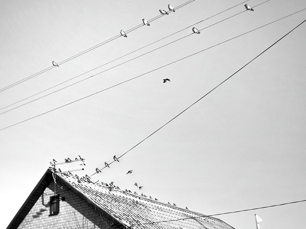 Уличные зарисовки