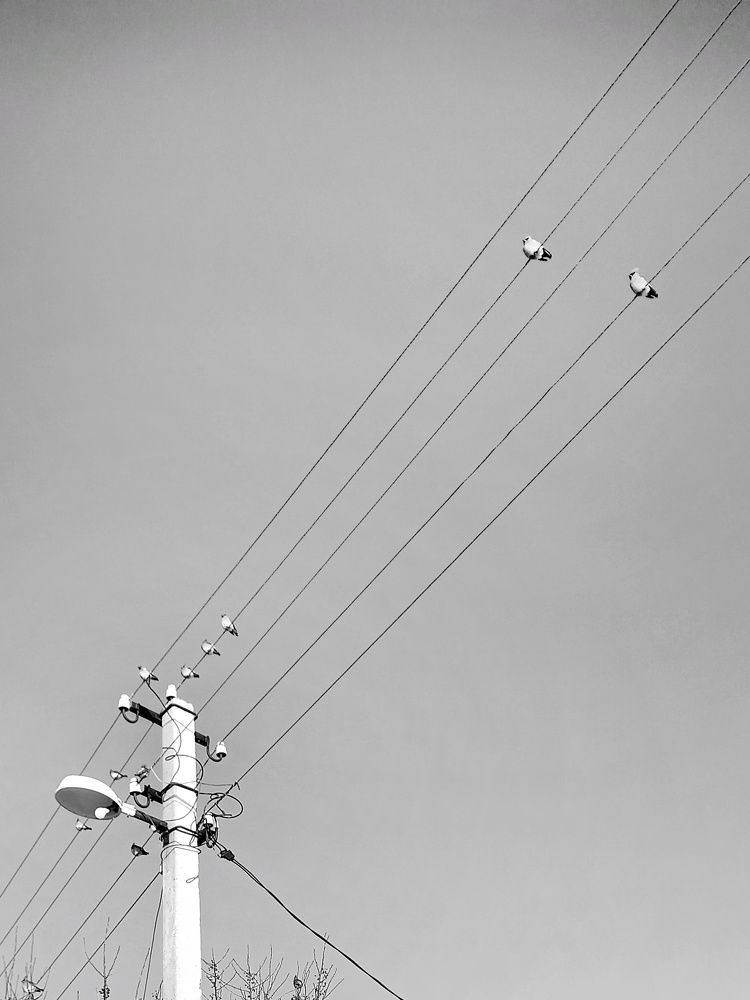 Уличные зарисовки