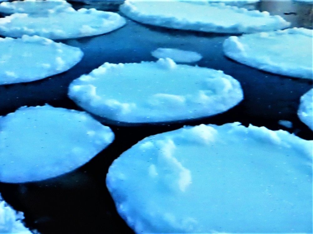 Photograph by Галина