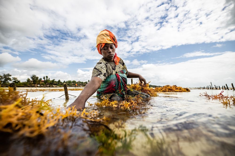 Photograph by Adrian Grigore