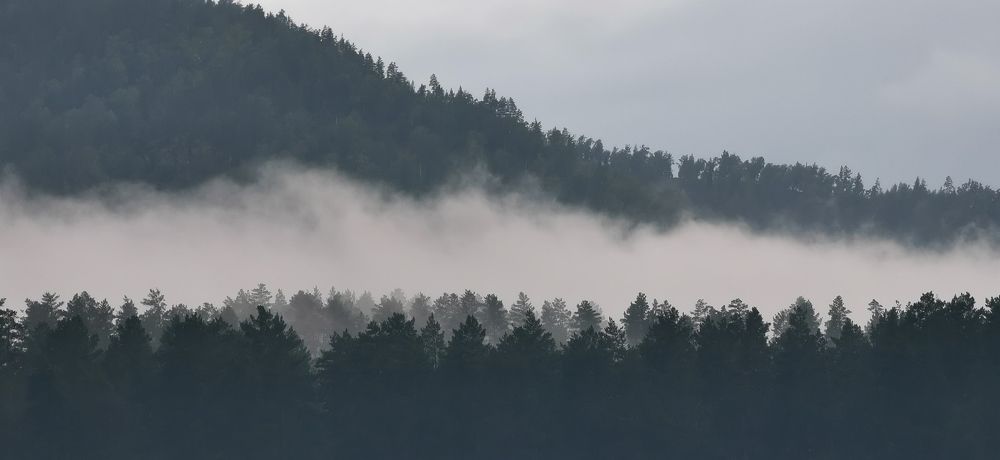 Туманное утро Алтая