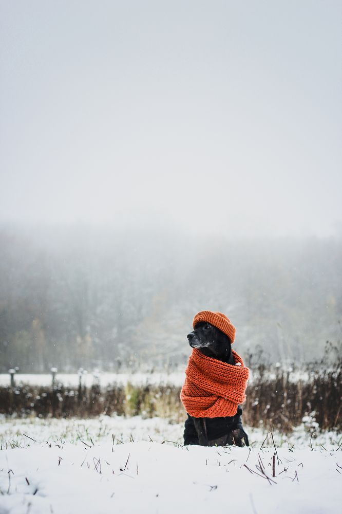 Photograph by Лидия Маркова