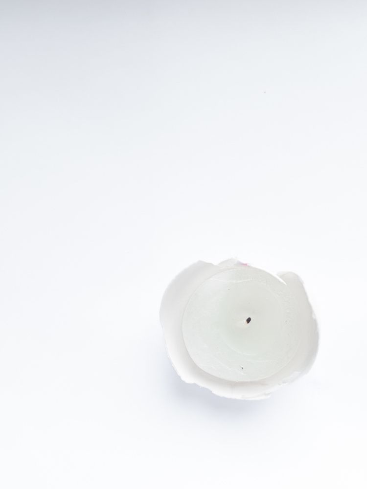 Photo #11350577