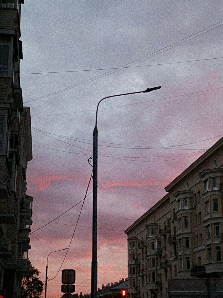 Photo #11350590
