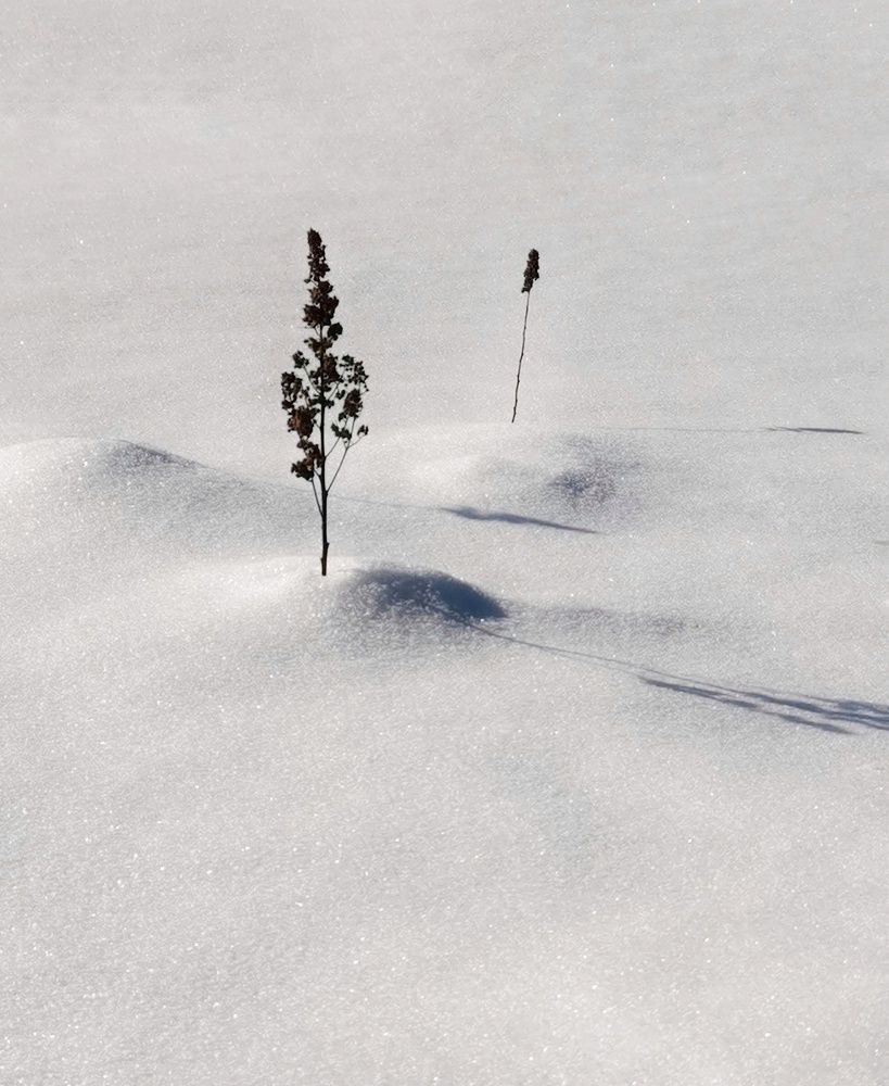 Photograph by Гульназ Шайхисламова