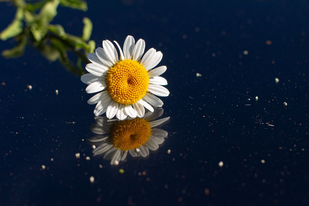 Photograph by Дарья Улюсова