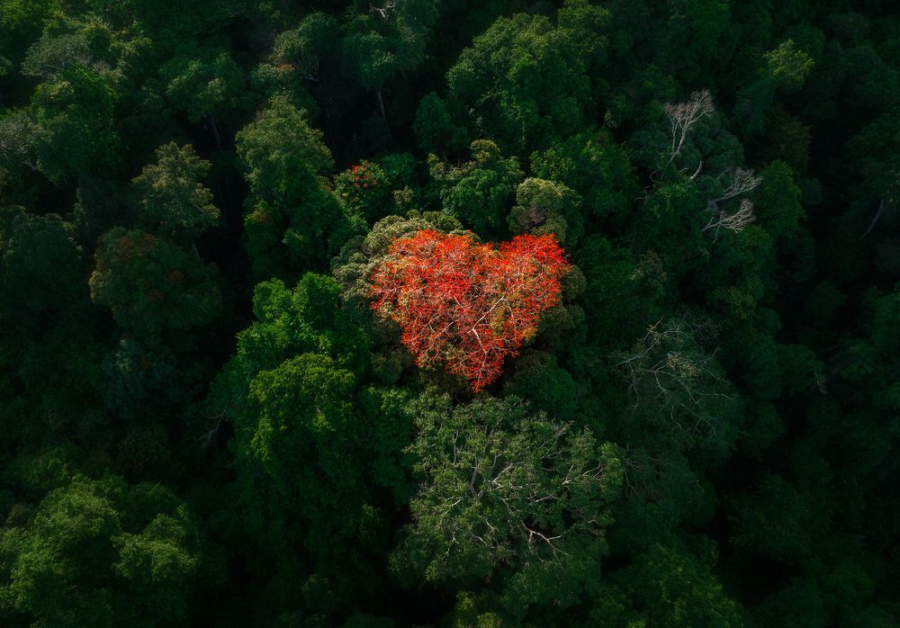 Photograph by Tran Phuong