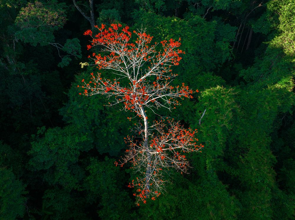 Photograph by Tran Phuong