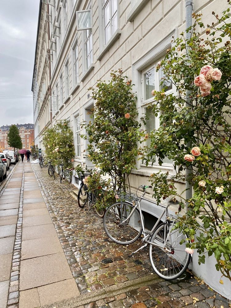 Photograph by Yana Ofitserova