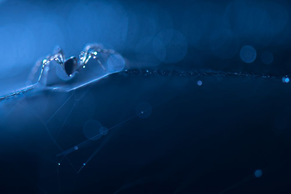 Photograph by Соварцева Ксения