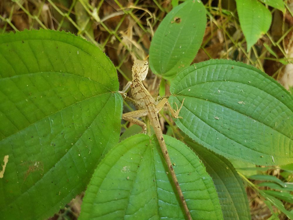 Photograph by Кудрявцев Александр
